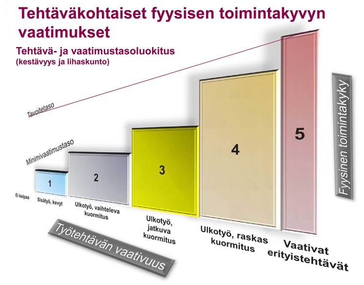 Ammattisotilas_Toimintakyvyn vaatimukset_Kuva_PE_Koulutusosasto